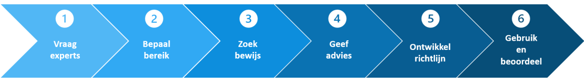 RICHTLIJN_STAPPENPLAN.png